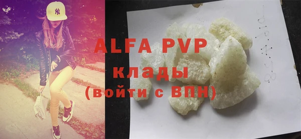 индика Лабытнанги