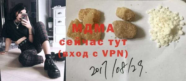 индика Лабытнанги