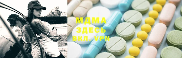 индика Лабытнанги