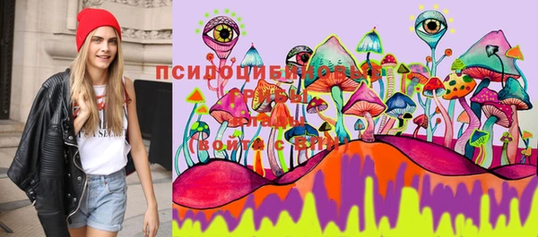 герыч Лиски
