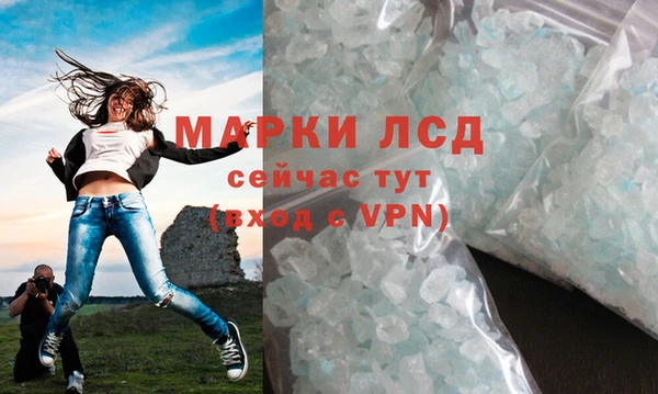 индика Лабытнанги