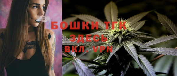 индика Лабытнанги