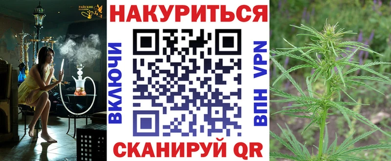 Каннабис сатива  Северская 